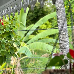 https://maison-arue-tahiti.frenchpolynesia-hotels.com